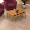 3 Set of coffee table + 1 centre table