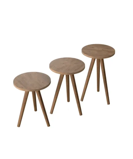 Furniture-Sarayi-F1011 (3) Set Coffee Table